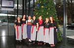 ZPT_0365 (Kopie)
